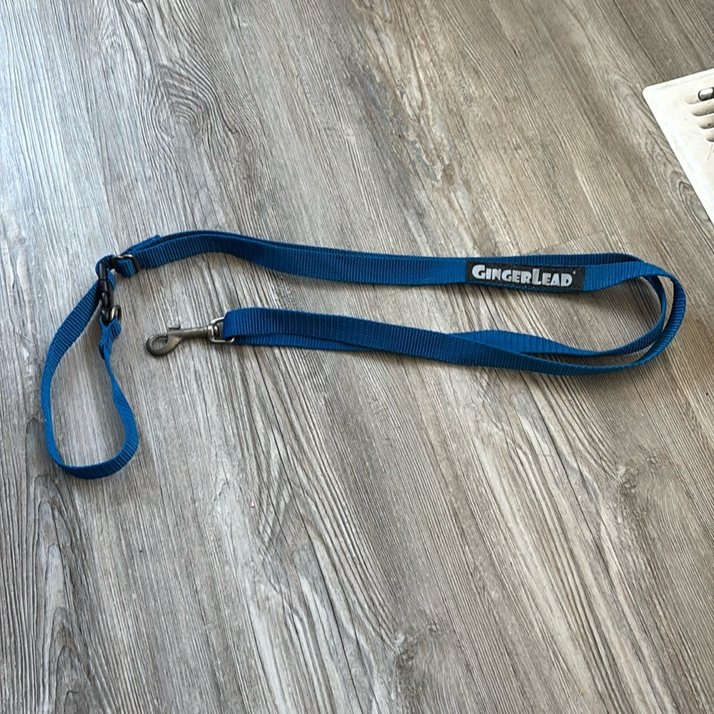 🌸Blue Dog  harness attachment